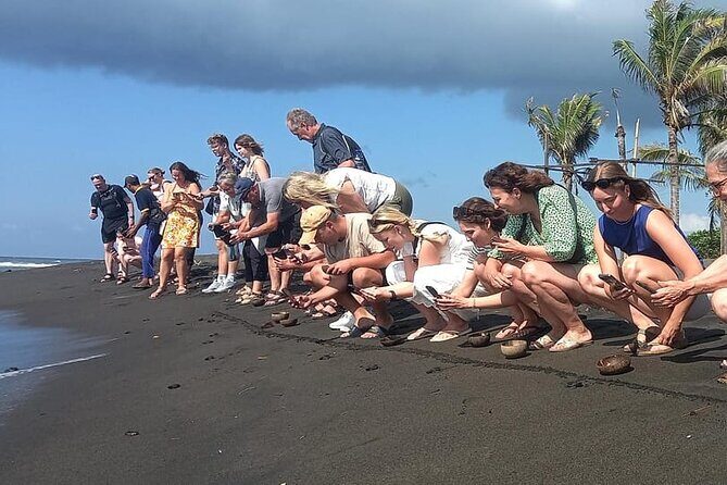 Bali Horse Riding and Turtle Release at Saba Beach - Practical Details: What You Need to Know