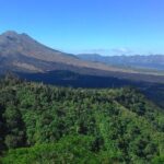 Bali in 1-Day : Rice Terrace, Volcano, Tanah lot - All Inclusive - Why This Tour Is a Great Investment