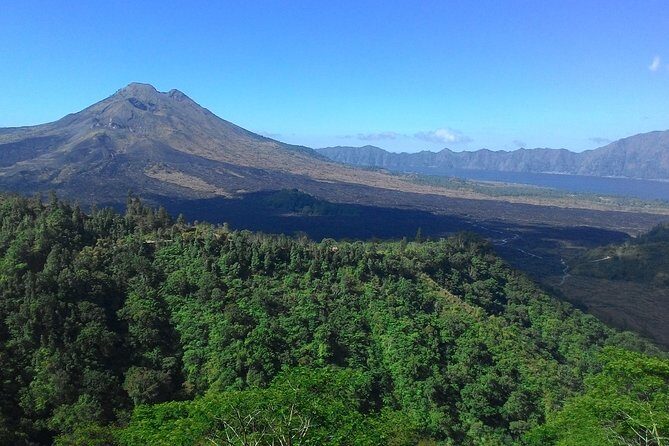 Bali in 1-Day : Rice Terrace, Volcano, Tanah lot - All Inclusive - Why This Tour Is a Great Investment