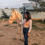 Bangalore: Horse Riding Safari Tour - What to Expect from the Bangalore Horse Riding Safari