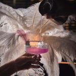 Bangkok: Aperitivo Free-Flow Alcohol at W Lounge - The Practicalities