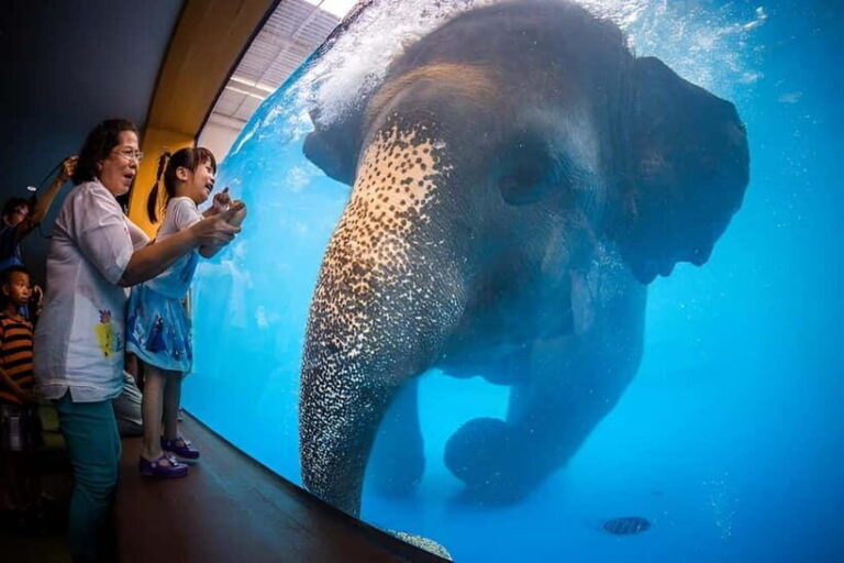 Bangkok/Pattaya: Khao Kheow Zoo Private Tour with Pickup - Who Will Love This Tour?