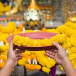 Bangkok Photography Masterclass - Private Photography Lesson - The Guide and Expert Advice