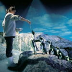 Bangkok: SEA LIFE Bangkok Ocean World Entry Ticket - The Sum Up