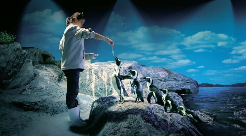 Bangkok: SEA LIFE Bangkok Ocean World Entry Ticket - The Sum Up