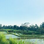 Benang kelambu waterfall and benang stokel waterfall lombok - What Travelers Say