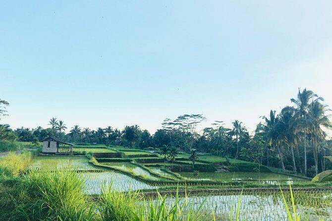 Benang kelambu waterfall and benang stokel waterfall lombok - What Travelers Say