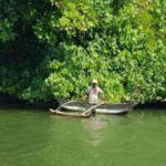 Bentota: River Safari with Hotel Pickup and Drop-Off - What to Expect During the Safari