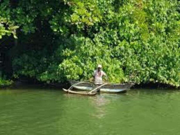 Bentota: River Safari with Hotel Pickup and Drop-Off - What to Expect During the Safari