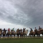 Best 6-Day Gobi Tour Discover Mongolia - What Makes This Tour Stand Out?