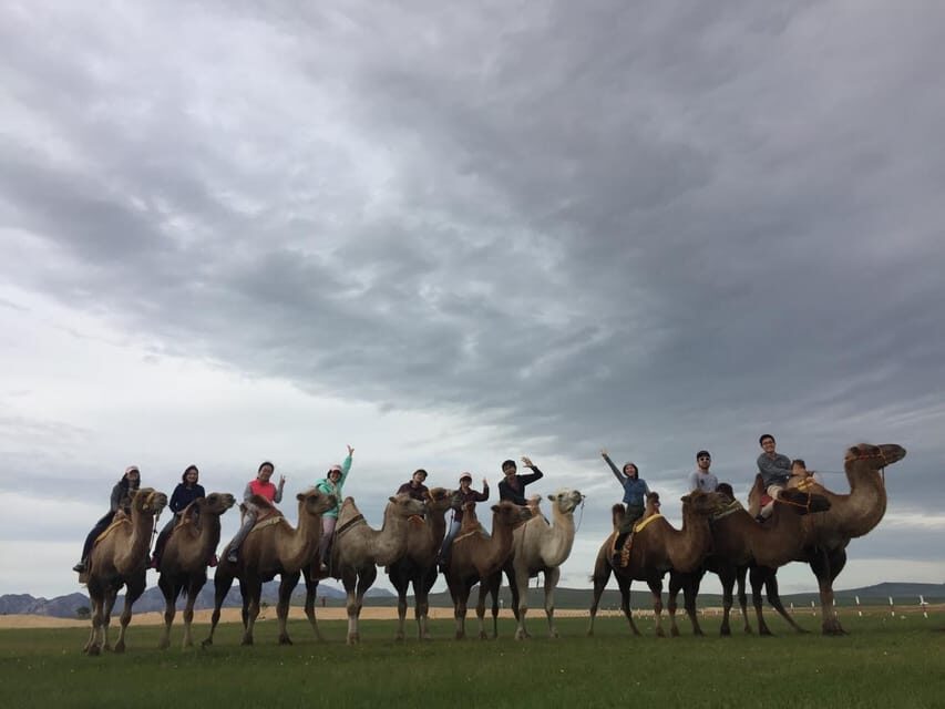 Best 6-Day Gobi Tour Discover Mongolia - What Makes This Tour Stand Out?