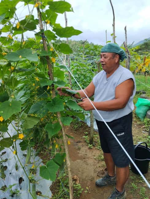 Biliran: Waterfalls & Nature Escape with lunch - Exploring the Itinerary: What You Can Expect