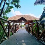 Bintan Mangrove Discovery Tour - Who Will Love This Tour?