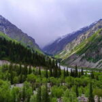 Bishkek: Ala Archa National Reserve Half-Day Tour with Hike - What to Keep in Mind