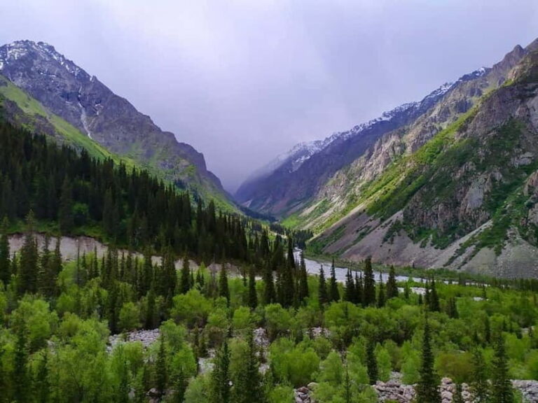 Bishkek: Ala Archa National Reserve Half-Day Tour with Hike - What to Keep in Mind