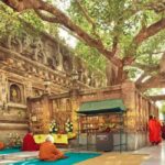 Bodhgaya Temple Town Tour 3D/2N - A Deep Dive into the Bodhgaya Temple Town Tour Experience