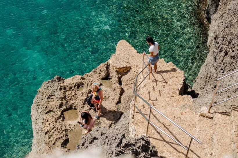 Bohol and Siquijor: 5-Day Guided Trip - Pamilacan Island: A Marine Paradise