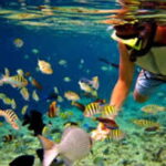 Bohol Island Hopping Tour - The Itinerary Breakdown: From Dolphins to Beaches