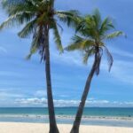 Bohol, Philippines: Pamilacan Island Tour with Dolphins - Detailed Breakdown of the Itinerary