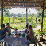 Bohol: Waterfalls, Kayak, Hills Hike, & Tarsier Private Tour - Who Would Love This Tour?