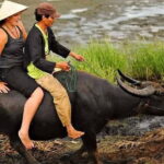 Buffaloe Riding/Ceramic/Cafe/Lantern Class/Basket Boat/Lunch - What You Can Expect