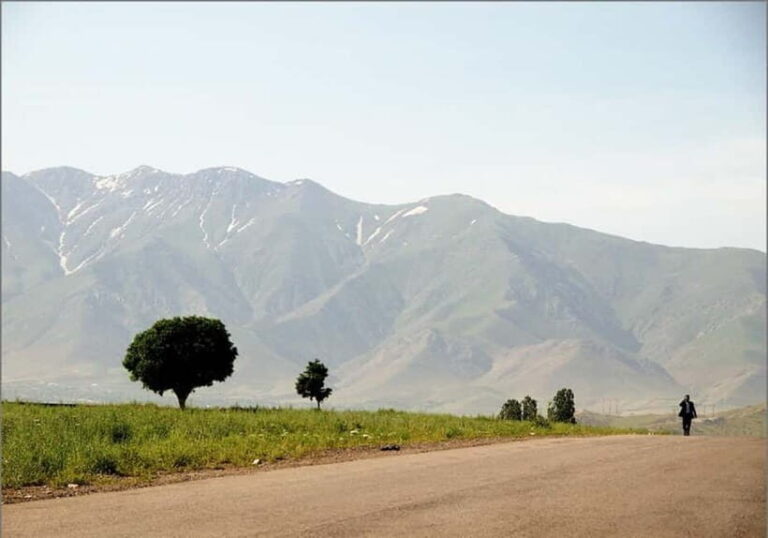 Bukhara-Shakhrisabz-Samarkand One Day Trip - FAQs