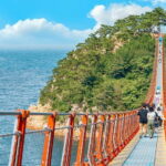 Busan: 7 Highlights Gyeongju City One Day Tour - Who Will Love This Tour?