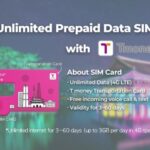 Busan Airport: Traveler SIM and Public Transportation Card - Who Will Benefit Most?