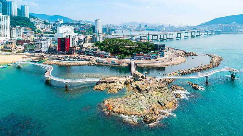 Busan: Busan 9 Highlights Tour - The Itinerary Breakdown: What You Can Expect