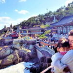 Busan Cruise Port - VIP Group Tour (Max 6 Guests) - A Step-by-Step Look at the Itinerary