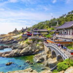 Busan: Customized Private Car Charter Tour - Who Is This Tour Best For?