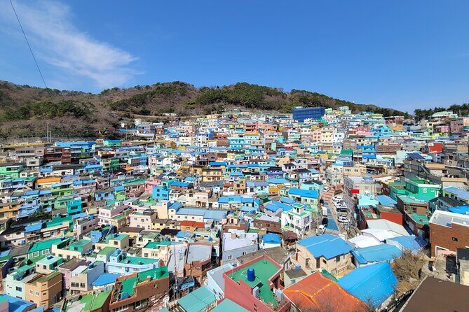 Busan Full-Day Customizable Private Tour in English - FAQs