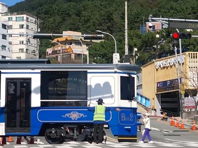 Busan / Gyeongju Customizable Private Tour (up to 8pax) - Who Would Love This Tour?