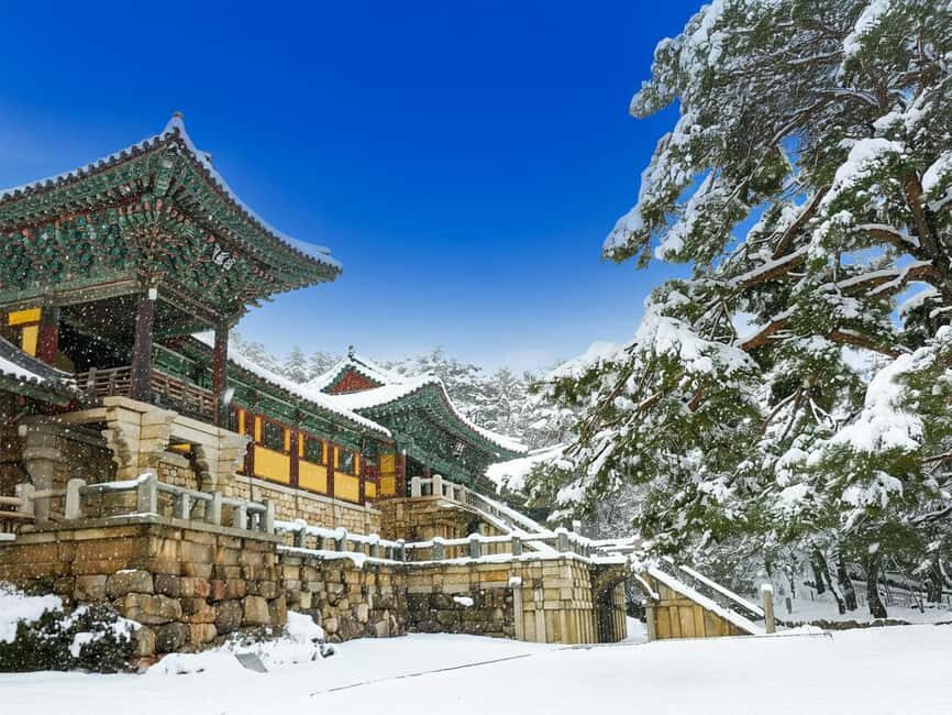 Busan: Gyeongju UNESCO Legacy Tour with National Museum - What to Expect: Practical Details and Tips