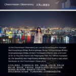 Busan Night Tour & Optional Snapshots - Who Will Love This Tour?