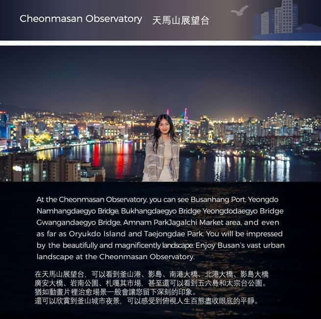 Busan Night Tour & Optional Snapshots - Who Will Love This Tour?