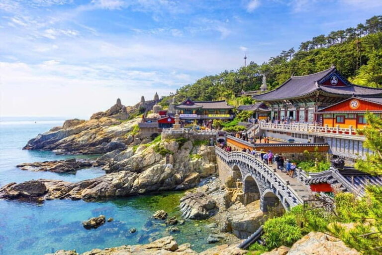 Busan: Private Chartered Car Tour - Who Will Love This Tour?