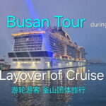 Busan shared Tour for Cruise ship passengers (Max 15 guests) - Practical Details & What to Expect