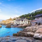 Busan: Top Attractions Authentic One-Day Guided Tour - Who Will Love This Tour?