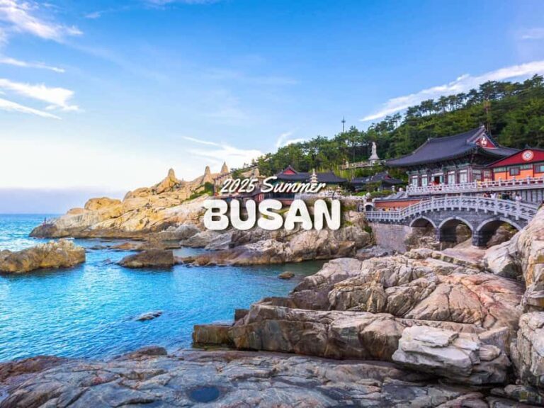 Busan: Top Attractions Authentic One-Day Guided Tour - Who Will Love This Tour?