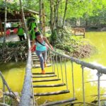 Can Gio Mangrove Forest 1 day tour - What Could Be Better?