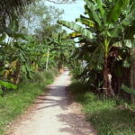 Can Tho Countryside Bike Tour with Fruit Garden Visit - Final Thoughts