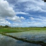 Can-umantad Falls and candijay rice terraces Eco Tour - Final Thoughts: Is This Tour Worth It?