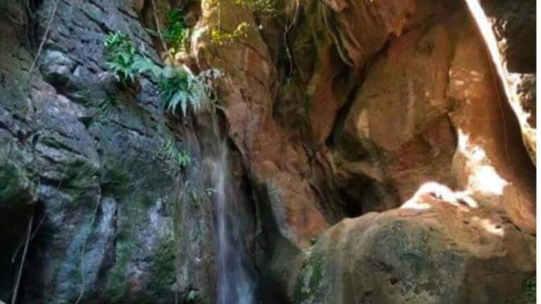 Cebu: Igutan Cave and Waterfalls Hike with Market Visit - Practical Tips & What to Bring