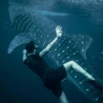 Cebu Oslob Whale Shark Swimming & Kawasan Falls Canyoneering - How the Tour Meets Expectations