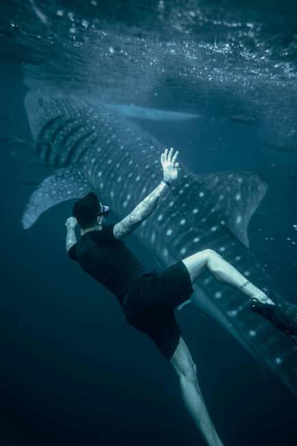 Cebu Oslob Whale Shark Swimming & Kawasan Falls Canyoneering - How the Tour Meets Expectations