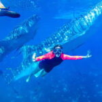Cebu: Oslob Whale Sharks & Kawasan Canyoneering Group Tour - Who Will Love This Tour?