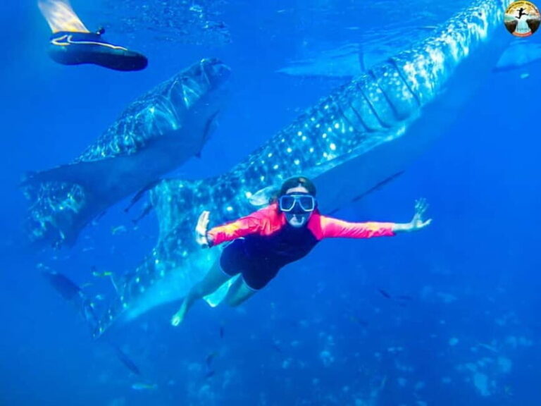 Cebu: Oslob Whale Sharks & Kawasan Canyoneering Group Tour - Who Will Love This Tour?