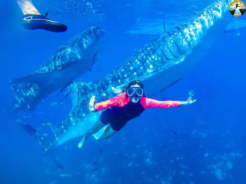 Cebu: Oslob Whale Sharks & Kawasan Canyoneering Group Tour - Who Will Love This Tour?