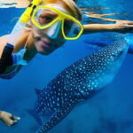 Cebu Ultimate Oslob Whale Shark and Moalboal Turtles Joiner Tour - Transition to Moalboal: Coastal Drive and Local Flavors
